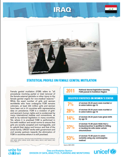 UNICEF Country Profile: FGM in Iraq (January 2020)